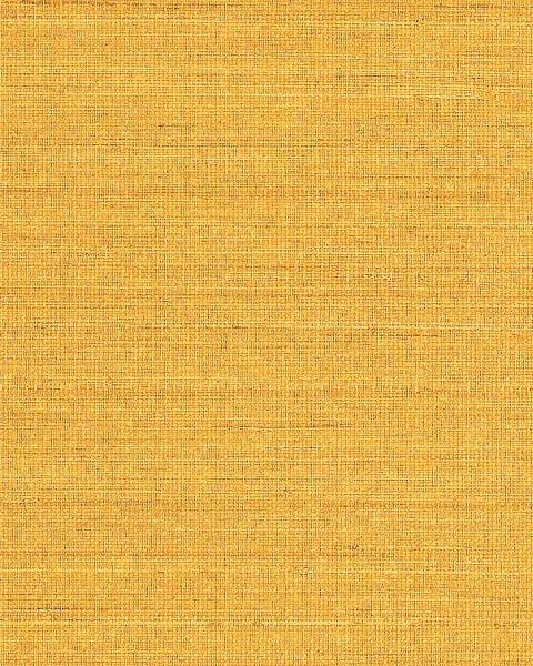 Phillip Jeffries | Abaca Harvest II