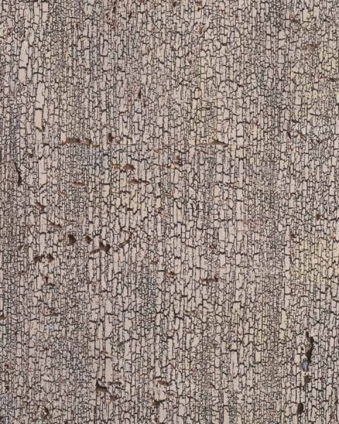 Phillip Jeffries | Scorched II