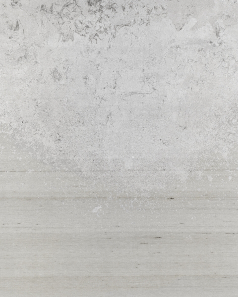 Phillip Jeffries | Metallic Ombre III