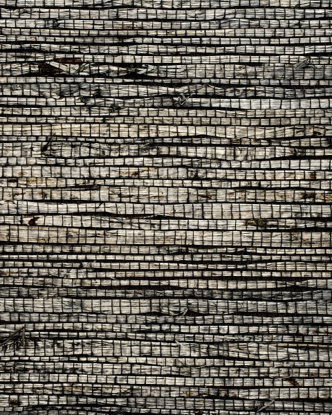 Phillip Jeffries | Extra Fine Arrowroot VIII