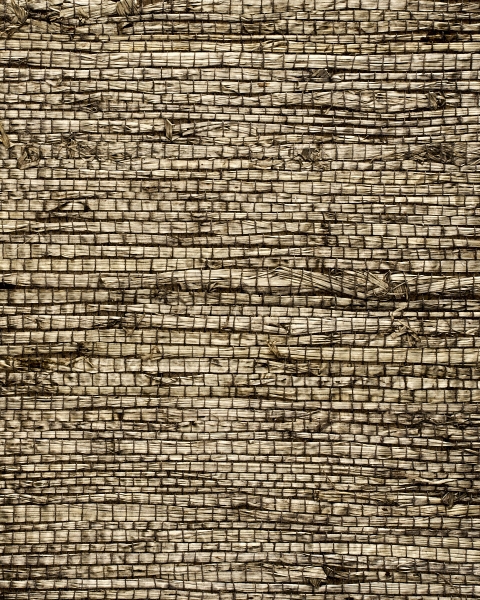 Phillip Jeffries | Extra Fine Arrowroot VIII