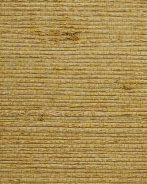 Phillip Jeffries | Juicy Jute II