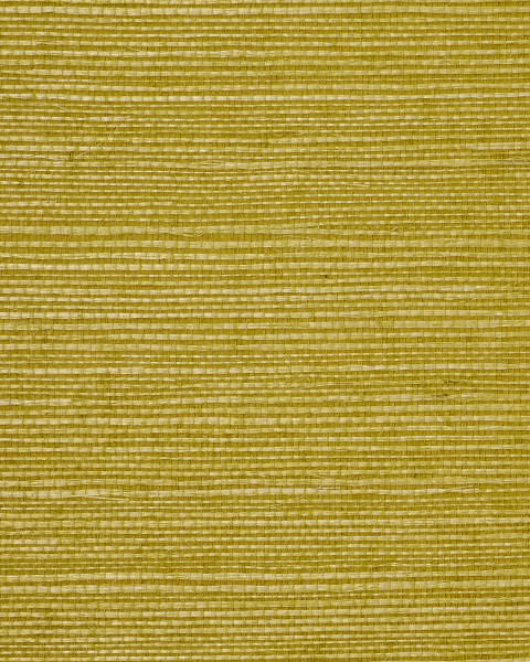 Phillip Jeffries | Manila Hemp X