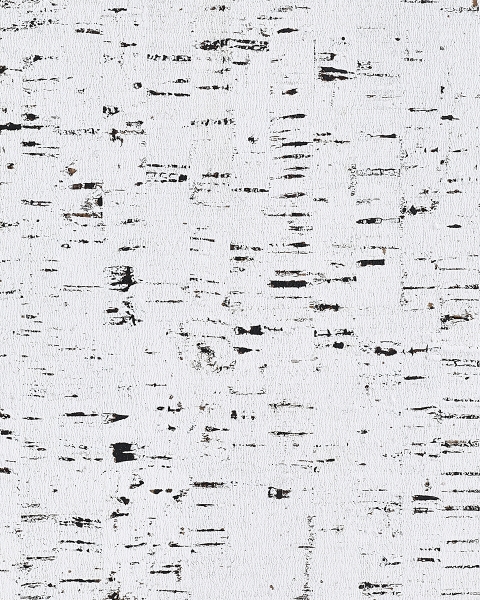 Phillip Jeffries | Enchanted Woods II