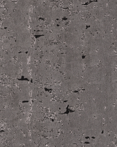 Phillip Jeffries | Vinyl Enchanted Woods I