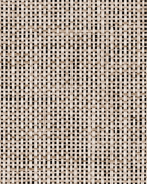 Phillip Jeffries | Metallic Paper Weave I