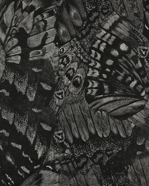 Phillip Jeffries | Aflutter II