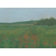 Poppy Landscape II
