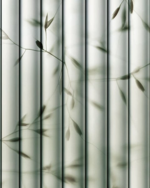 Rimura | Bamboo wall