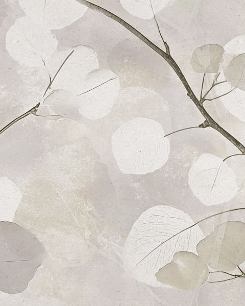 Rimura | Pale Silence