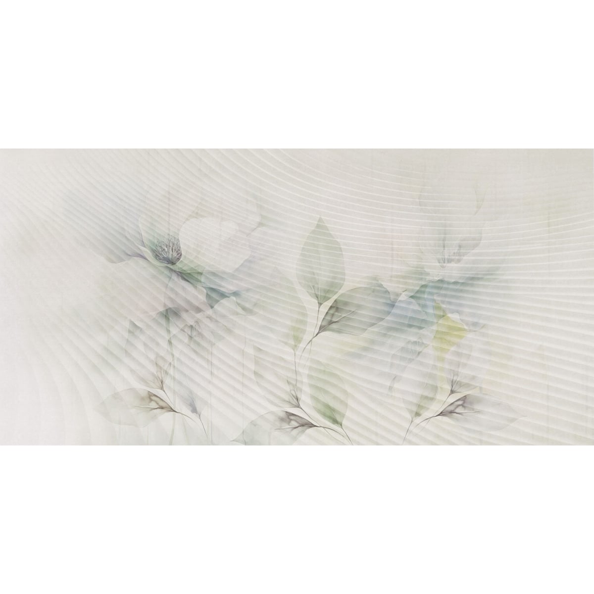 Rimura | Echo Rimura | Echo