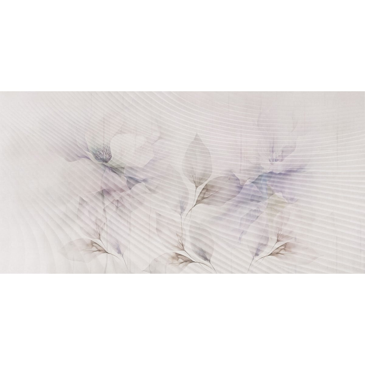 Rimura | Echo Rimura | Echo