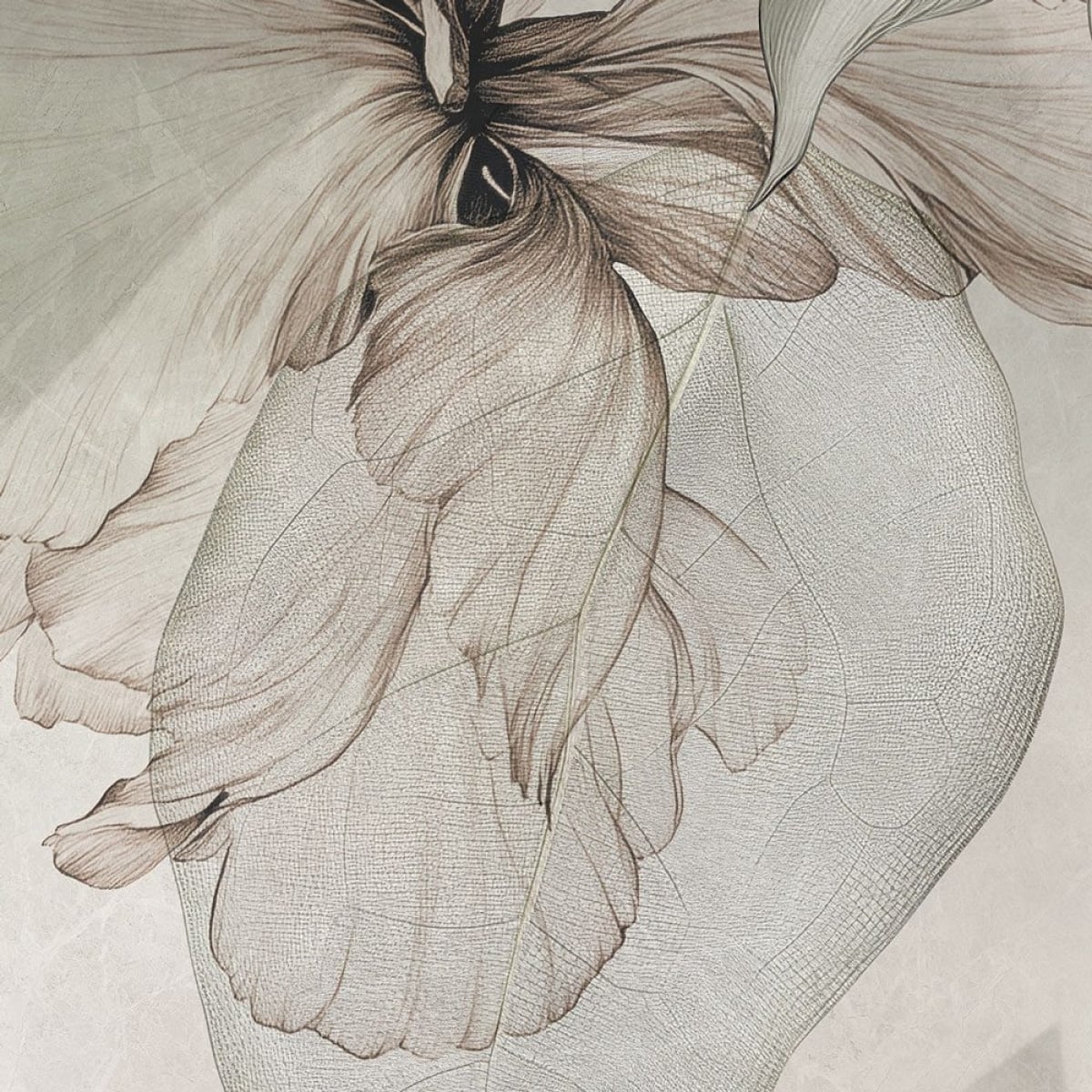 Rimura | Emerald Rimura | Emerald