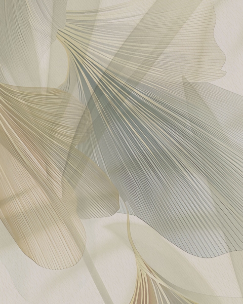 Rimura | Trasparenze