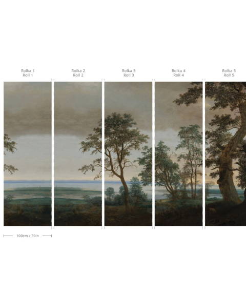 Wallcolors | Evening Grove