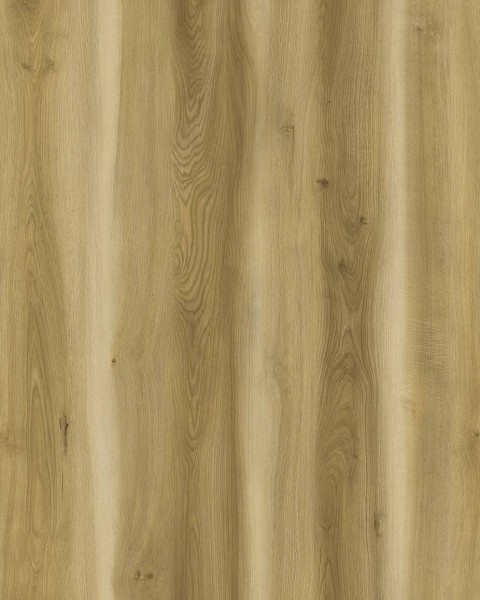 WRW8221 | Toli