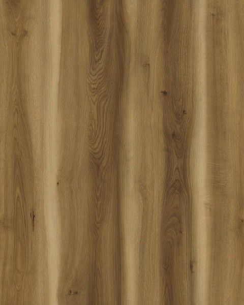 WRW8222 | Toli