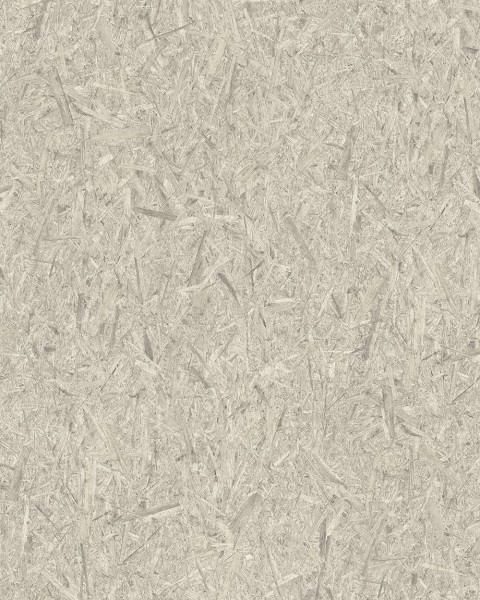 WRW8242 | Toli
