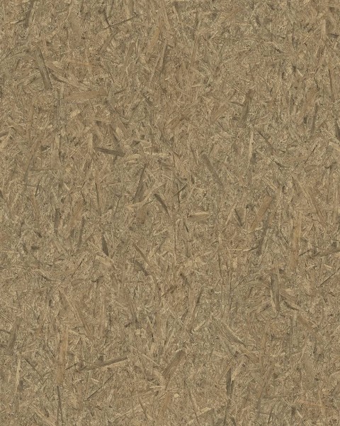 WRW8243 | Toli