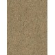 WRW8243 | Toli