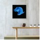 Frame - Majestic Blue arowana fish