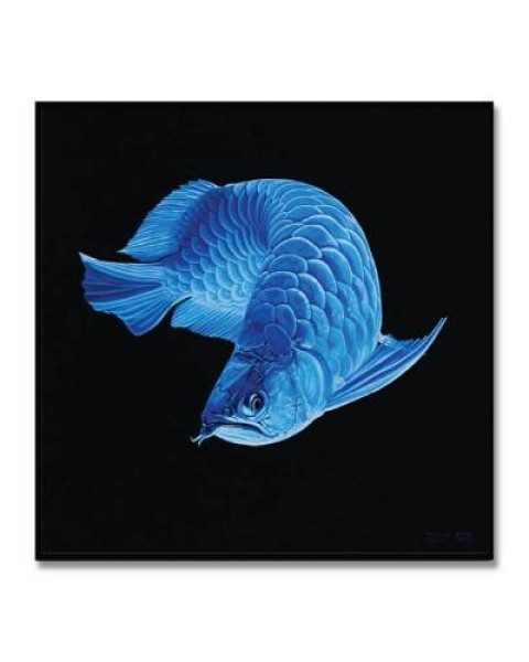 Frame - Majestic Blue arowana fish