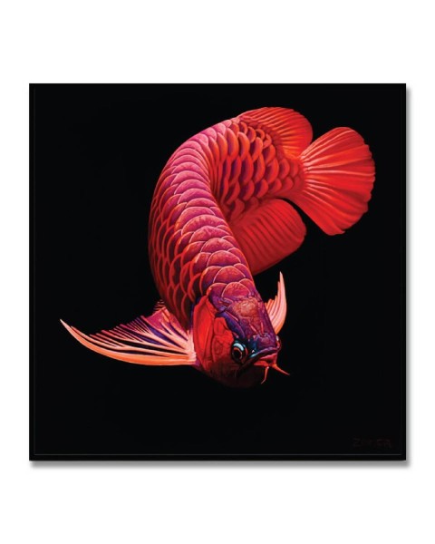 Frame - Red Dragon