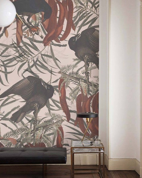 Wallcolors | Crows