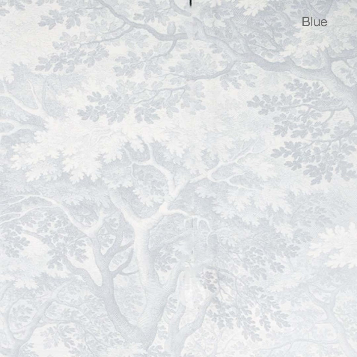 Wallcolors | Ethereal Forest Wallpaper