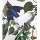 Wallcolors | Flying Birds Wallpaper