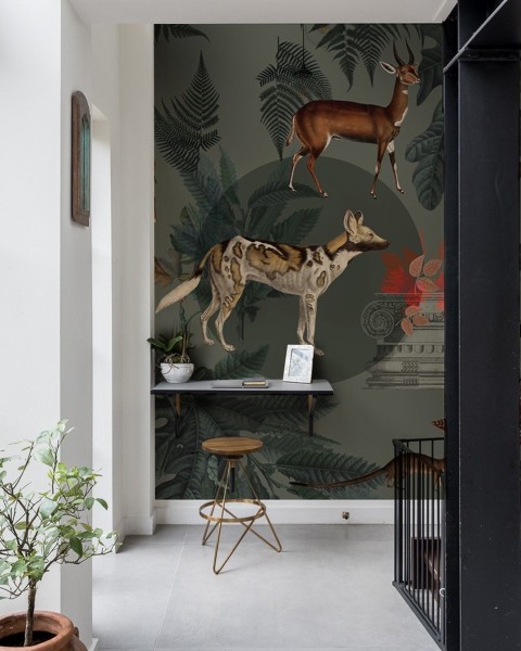 Wallcolors | Khaki