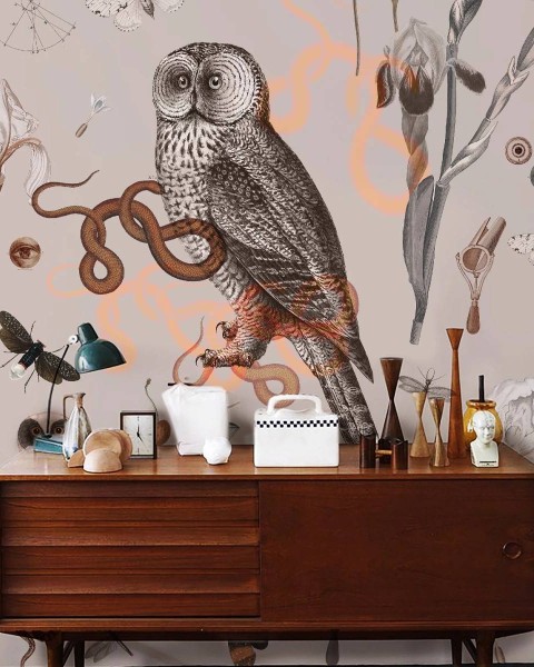 Wallcolors | Pink Owls Wallpaper