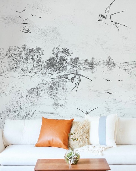 Wallcolors | Swallow