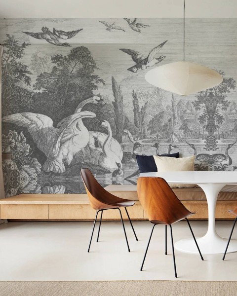 Wallcolors | Swans Wallpaper 
