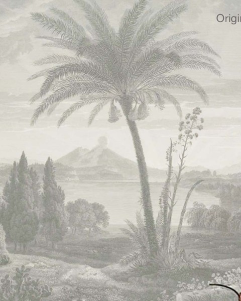 Wallcolors | Tropical Volcano Vista Wallpaper