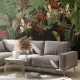 Wallcolors | Tropical Composition