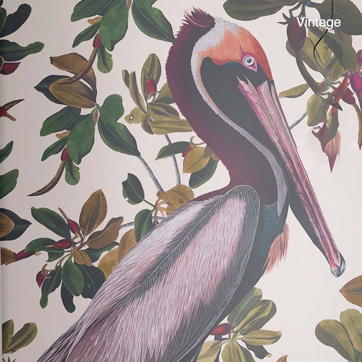 Wallcolors | Vintage Pelicans