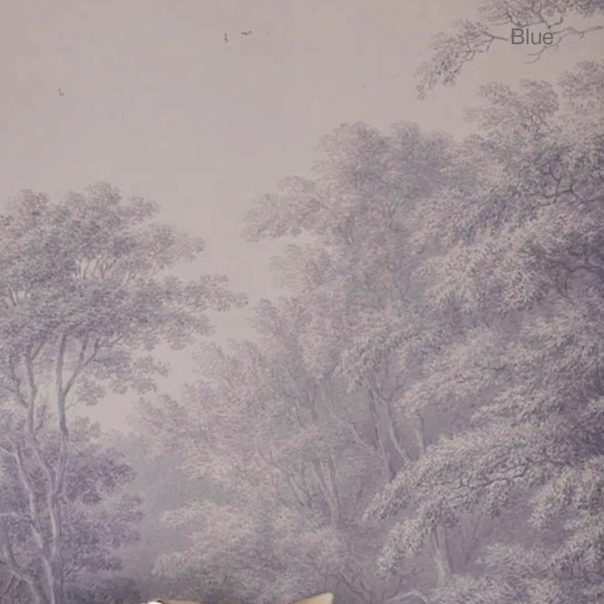 Wallcolors | Watercolor Grove Wallpaper