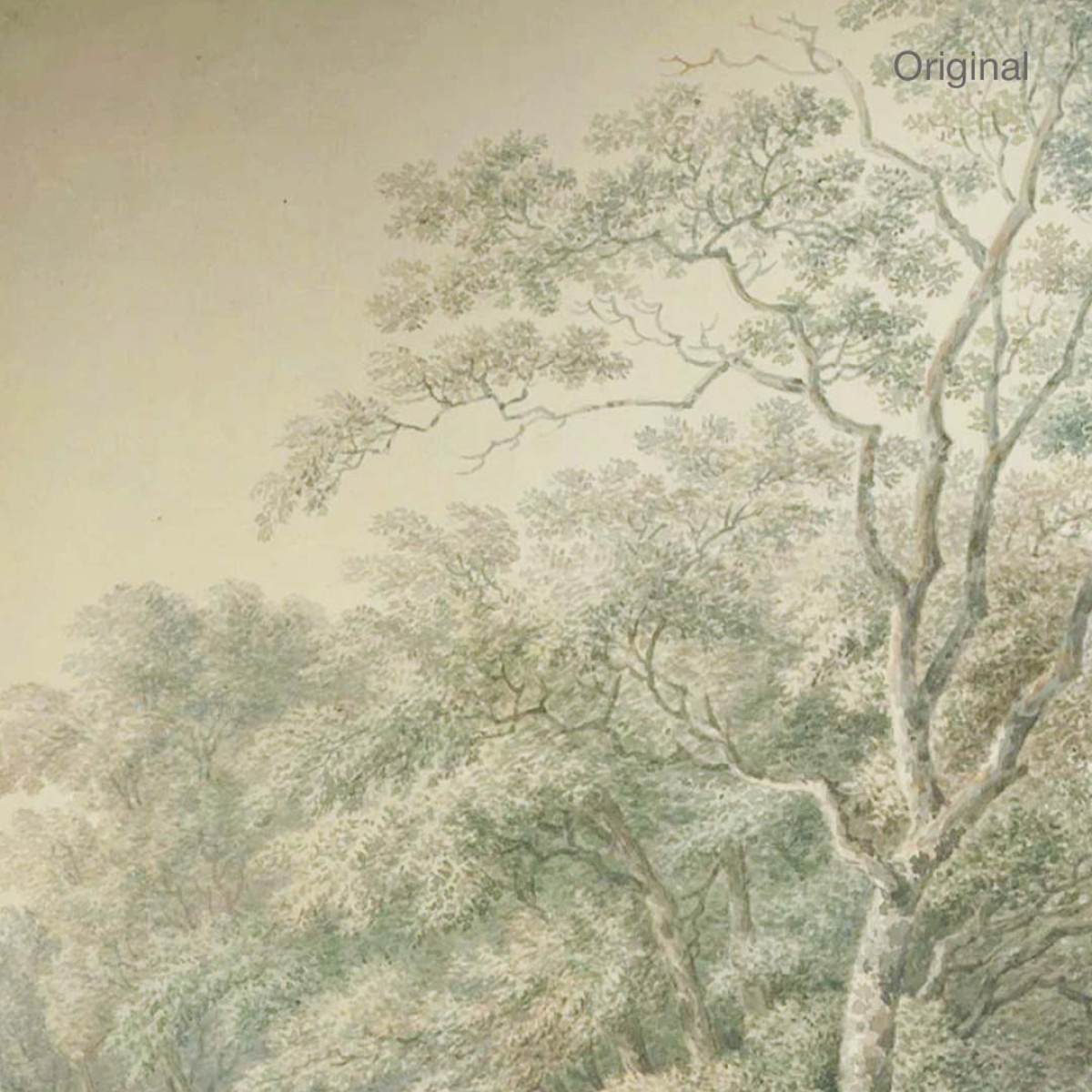 Wallcolors | Watercolor Grove Wallpaper