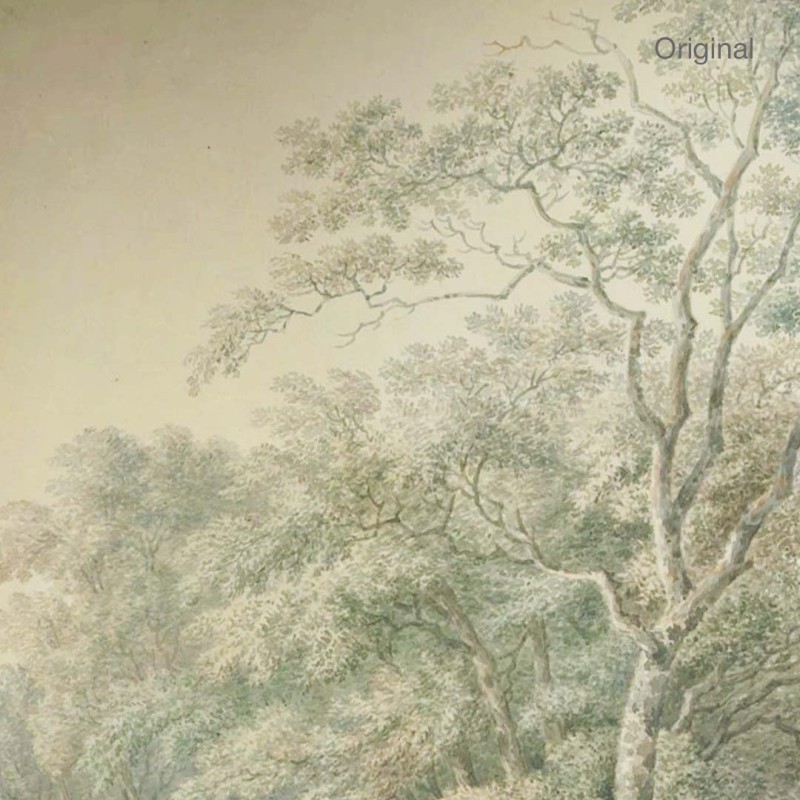 Wallcolors | Watercolor Grove Wallpaper