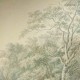 Wallcolors | Watercolor Grove Wallpaper