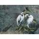Honpo Craftwall | Ardea