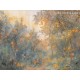 Honpo Craftwall | Fabiola