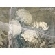 Honpo Craftwall | Floss
