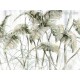 Honpo Craftwall | Monstera
