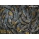 Honpo Craftwall | Murion