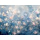 Honpo Craftwall | Vesta