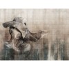 Honpo Craftwall | Virgo