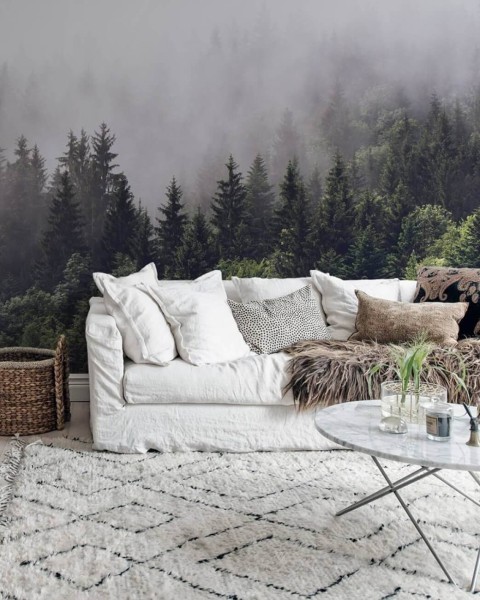 Misty Fir Forest