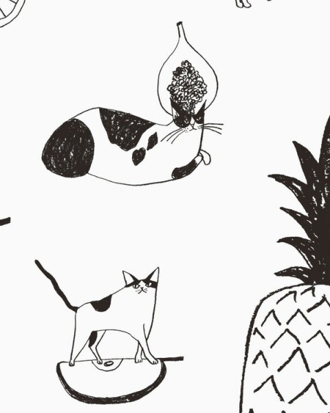Walltz | Cats and Fruits | NWZ-NKKZ